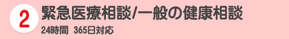 2 緊急医療相談/一般の健康相談 24時間 365日対応