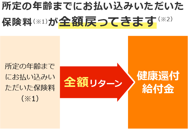 所定の年齢までにお払い込みいただいた保険料（※1）が全額戻ってきます（※2）