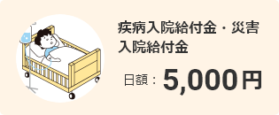 疾病入院給付金・災害入院給付金 日額：5,000円