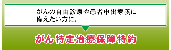 がんの自由診療や患者申出療養に備えたい方に。がん特定治療保障特約