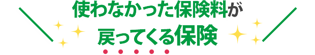使わなかった保険料が戻ってくる保険